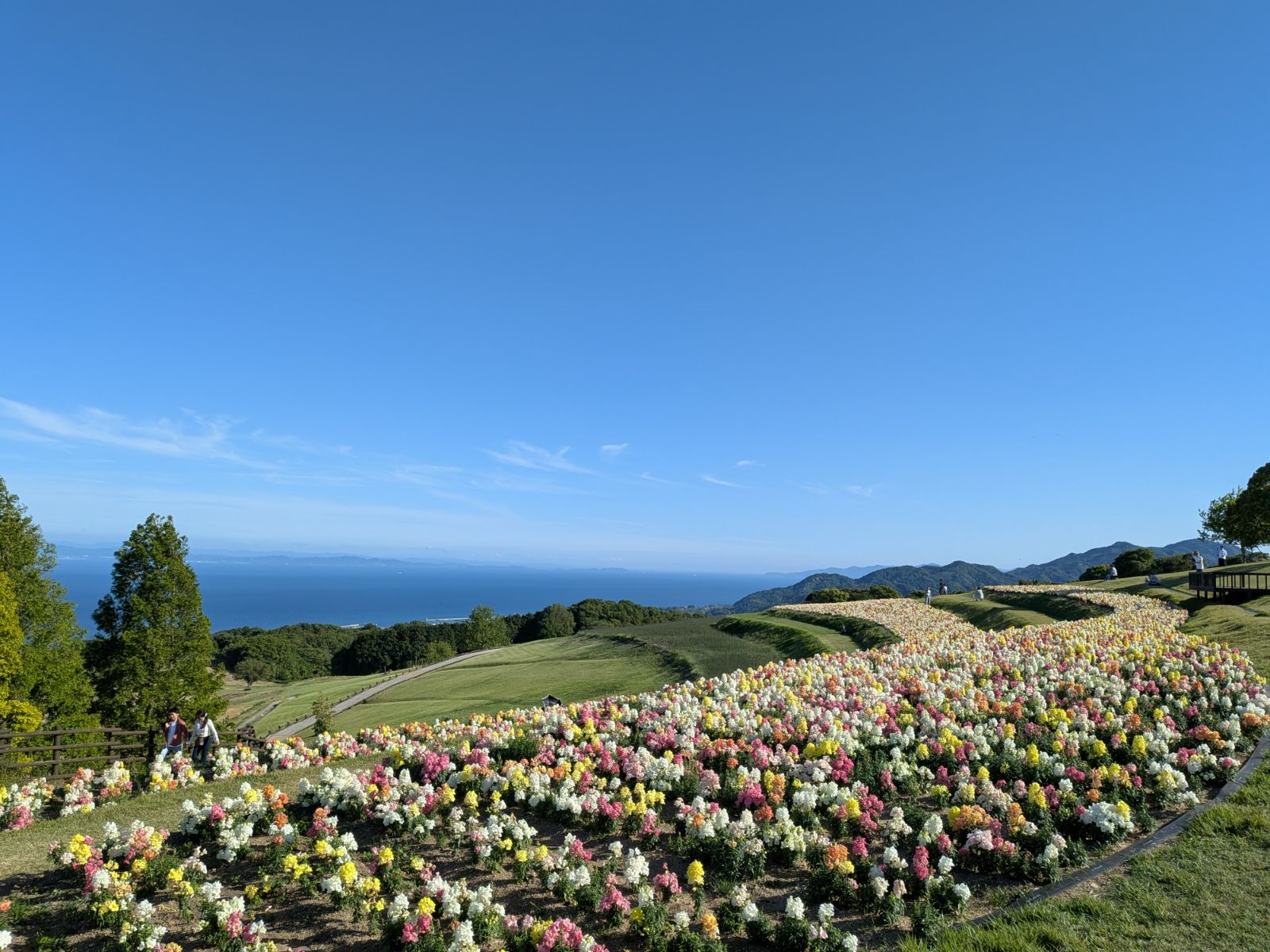 花さじき