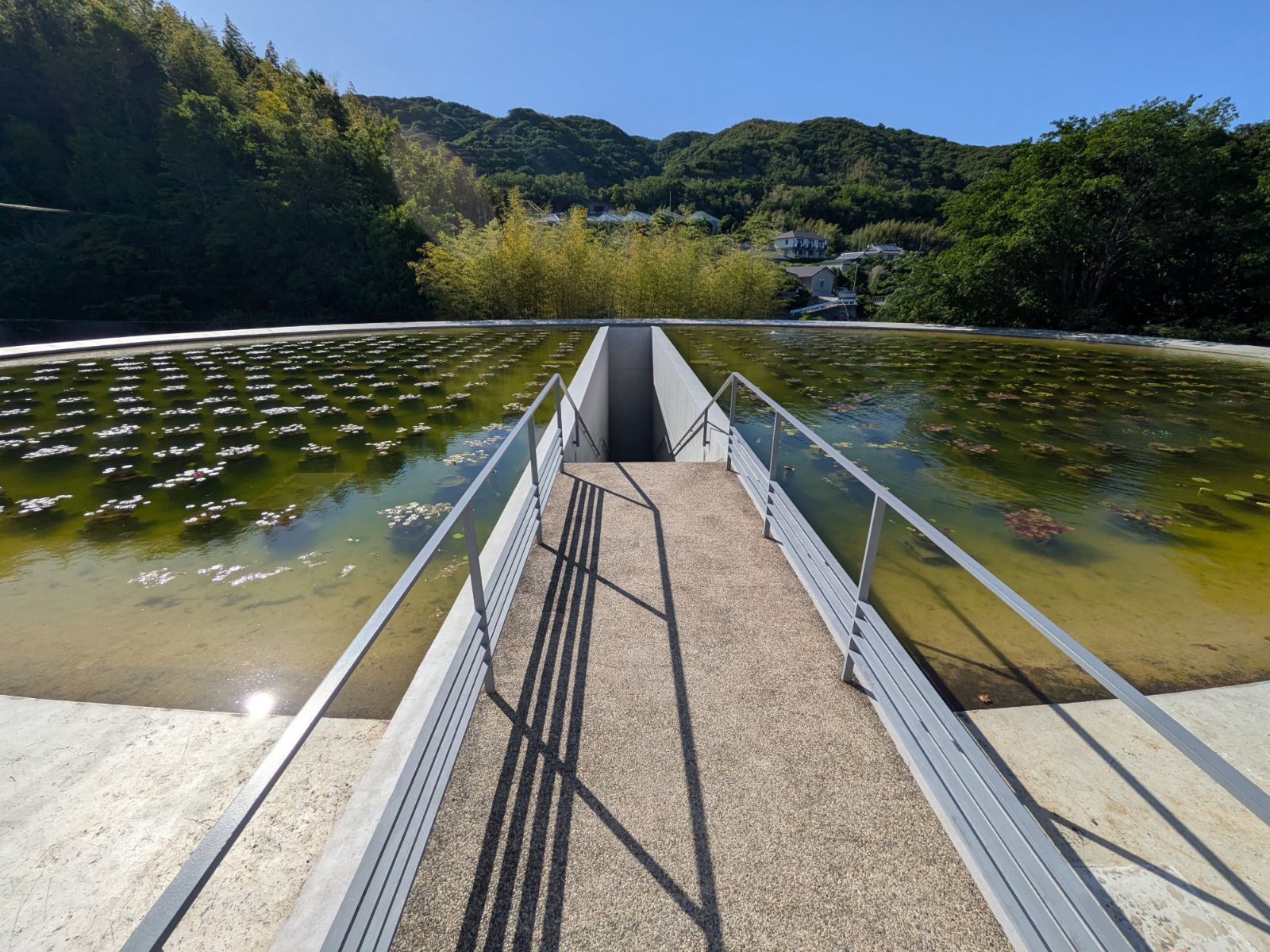 本福寺 水御堂